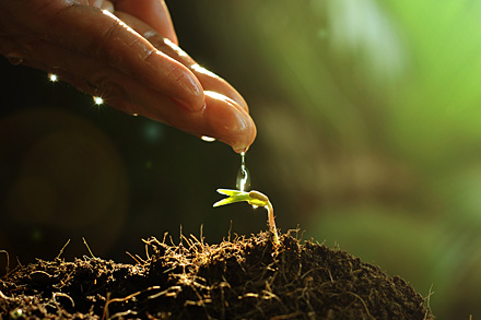 Business Start-ups Business Start-ups